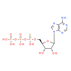 ChemSpider 2D Image | 9-{5-O-[{[Hydroxy(phosphonooxy)phosphoryl]oxy}(sulfanyl)phosphoryl]-D-ribofuranosyl}-9H-purin-6-amine | C10H16N5O12P3S