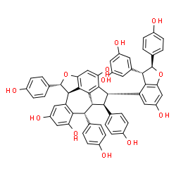 ChemSpider 2D Image | (3S,4S,4aR,5R,9bR,10R)-3-[(2S,3S)-3-(3,5-Dihydroxyphenyl)-6-hydroxy-2-(4-hydroxyphenyl)-2,3-dihydro-1-benzofuran-4-yl]-4,5,10-tris(4-hydroxyphenyl)-3,4,4a,5,9b,10-hexahydro-11-oxabenzo[5,6]cyclohepta[
1,2,3,4-jkl]-as-indacene-2,6,8-triol | C56H42O12