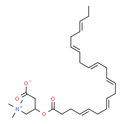 ChemSpider 2D Image | 3-[(4E,7E,10E,13E,16E,19E)-4,7,10,13,16,19-Docosahexaenoyloxy]-4-(trimethylammonio)butanoate | C29H45NO4