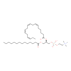 ChemSpider 2D Image | (2R)-2-[(6Z,9Z,12Z,15Z)-6,9,12,15-Octadecatetraenoyloxy]-3-(tetradecanoyloxy)propyl 2-(trimethylammonio)ethyl phosphate | C40H72NO8P