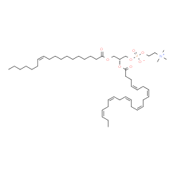 ChemSpider 2D Image | 1-[(11Z)-octadecenoyl]-2-[(4Z,7Z,10Z,13Z,16Z,19Z)]-docosahexaenoyl-sn-glycero-3-phosphocholine | C48H82NO8P