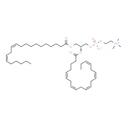 ChemSpider 2D Image | (2R)-3-[(11Z,14Z)-11,14-Icosadienoyloxy]-2-[(5Z,8Z,11Z,14Z,17Z)-5,8,11,14,17-icosapentaenoyloxy]propyl 2-(trimethylammonio)ethyl phosphate | C48H82NO8P