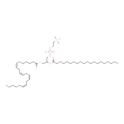ChemSpider 2D Image | PC(22:4(7Z,10Z,13Z,16Z)/20:0) | C50H92NO8P