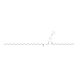 ChemSpider 2D Image | 1-tetracosanoyl-2-tetradecanoyl-sn-glycero-3-phosphocholine | C46H92NO8P