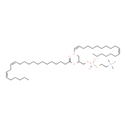 ChemSpider 2D Image | PC(P-18:1(11Z)/22:2(13Z,16Z)) | C48H90NO7P