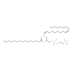 ChemSpider 2D Image | 3-[(1Z,9Z)-1,9-Octadecadien-1-yloxy]-2-(pentadecanoyloxy)propyl 2-(trimethylammonio)ethyl phosphate | C41H80NO7P