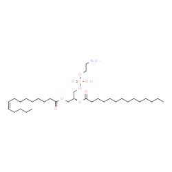 ChemSpider 2D Image | (2R)-3-{[(2-Aminoethoxy)(hydroxy)phosphoryl]oxy}-2-(tetradecanoyloxy)propyl (9Z)-9-tetradecenoate | C33H64NO8P