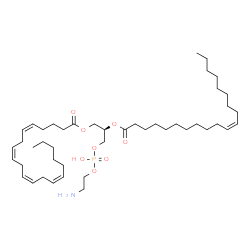 ChemSpider 2D Image | (2R)-3-{[(2-Aminoethoxy)(hydroxy)phosphoryl]oxy}-2-[(11Z)-11-icosenoyloxy]propyl (5Z,8Z,11Z,14Z)-5,8,11,14-icosatetraenoate | C45H80NO8P