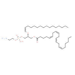 ChemSpider 2D Image | (2R)-3-{[(2-Aminoethoxy)(hydroxy)phosphoryl]oxy}-2-[(1Z)-1-hexadecen-1-yloxy]propyl (5Z,8Z,11Z,14Z)-5,8,11,14-icosatetraenoate | C41H74NO7P