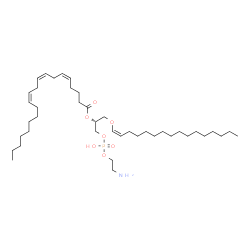 ChemSpider 2D Image | (15Z,19R)-25-Amino-22-hydroxy-22-oxido-17,21,23-trioxa-22lambda~5~-phosphapentacos-15-en-19-yl (5Z,8Z,11Z)-5,8,11-icosatrienoate | C41H76NO7P