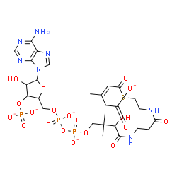 ChemSpider 2D Image | (20Z)-1-[5-(6-Amino-9H-purin-9-yl)-4-hydroxy-3-(phosphonatooxy)tetrahydro-2-furanyl]-9-hydroxy-8,8,21-trimethyl-3,5-dioxido-10,14,19-trioxo-2,4,6-trioxa-18-thia-11,15-diaza-3,5-diphosphatricos-20-en-2
3-oate 3,5-dioxide | C27H37N7O19P3S