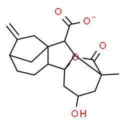 ChemSpider 2D Image | 13-Hydroxy-11-methyl-6-methylene-16-oxo-15-oxapentacyclo[9.3.2.1~5,8~.0~1,10~.0~2,8~]heptadecane-9-carboxylate | C19H23O5