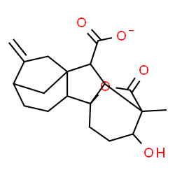 ChemSpider 2D Image | 12-Hydroxy-11-methyl-6-methylene-16-oxo-15-oxapentacyclo[9.3.2.1~5,8~.0~1,10~.0~2,8~]heptadecane-9-carboxylate | C19H23O5