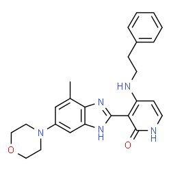 ChemSpider 2D Image | 3-[4-Methyl-6-(4-morpholinyl)-1H-benzimidazol-2-yl]-4-[(2-phenylethyl)amino]-2(1H)-pyridinone | C25H27N5O2