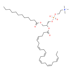 ChemSpider 2D Image | (2R)-2-[(4Z,7Z,10Z,13Z,16Z,19Z)-4,7,10,13,16,19-Docosahexaenoyloxy]-3-(dodecanoyloxy)propyl 2-(trimethylammonio)ethyl phosphate | C42H72NO8P
