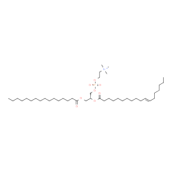 ChemSpider 2D Image | (2R)-2-[(11E)-11-Octadecenoyloxy]-3-(palmitoyloxy)propyl 2-(trimethylammonio)ethyl phosphate | C42H82NO8P