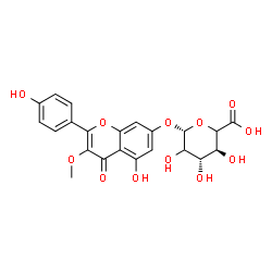 ChemSpider 2D Image | 5-Hydroxy-2-(4-hydroxyphenyl)-3-methoxy-4-oxo-4H-chromen-7-yl beta-D-threo-hexopyranosiduronic acid | C22H20O12