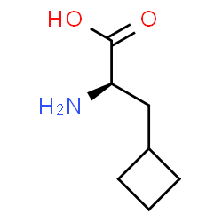 ChemSpider 2D Image | D-3-Cyclobutylalanine | C7H13NO2