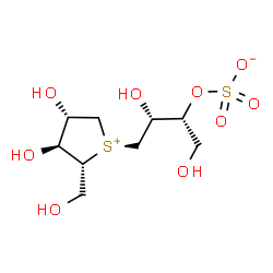 ChemSpider 2D Image | (2R,3R)-4-[(2R,3S,4S)-3,4-Dihydroxy-2-(hydroxymethyl)tetrahydro-1-thiopheniumyl]-1,3-dihydroxy-2-butanyl sulfate | C9H18O9S2