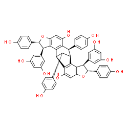 ChemSpider 2D Image | (1R,4R,5R,11R,12S,15R,16R,22R)-4,15-Bis(3,5-dihydroxyphenyl)-5,11,16,22-tetrakis(4-hydroxyphenyl)-6,17-dioxahexacyclo[10.9.1.0~2,10~.0~3,7~.0~13,21~.0~14,18~]docosa-2,7,9,13,18,20-hexaene-9,20-diol | C56H42O12