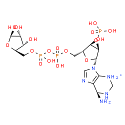 ChemSpider 2D Image | [[(2R,3R,4R,5R)-5-[(6R)-6-amino-1,2,3,6-tetrahydropurin-3-ium-9-yl]-3-hydroxy-4-phosphonooxy-tetrahydrofuran-2-yl]methoxy-hydroxy-phosphoryl] [(2R,3S,4R,5R)-3,4,5-trihydroxytetrahydrofuran-2-yl]methyl hydrogen phosphate | C15H29N5O17P3