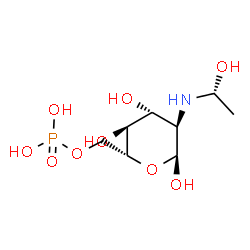 ChemSpider 2D Image | 2-Deoxy-2-{[(1R)-1-hydroxyethyl]amino}-6-O-phosphono-alpha-D-glucopyranose | C8H18NO9P