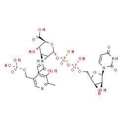 ChemSpider 2D Image | (2S,3S,4R,5R,6R)-5-(acetylamino)-6-{[(S)-{[(S)-{[(2S,3R,4S,5R)-5-(2,4-dioxo-3,4-dihydropyrimidin-1(2H)-yl)-3,4-dihydroxytetrahydrofuran-2-yl]methoxy}(hydroxy)phosphoryl]oxy}(hydroxy)phosphoryl]oxy}-3-hydroxy-4-{[(1E)-{3-hydroxy-2-methyl-5-[(phosphono | C25H34N5O22P3