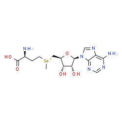 ChemSpider 2D Image | (2S)-4-[{[(2S,3S,4R,5R)-5-(6-Amino-9H-purin-9-yl)-3,4-dihydroxytetrahydro-2-furanyl]methyl}(methyl)selenonio]-2-ammoniobutanoate (non-preferred name) | C15H23N6O5Se