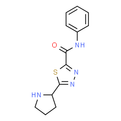 ChemSpider 2D Image | N-Phenyl-5-(2-pyrrolidinyl)-1,3,4-thiadiazole-2-carboxamide | C13H14N4OS