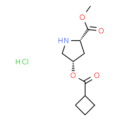 ChemSpider 2D Image | Methyl (4S)-4-[(cyclobutylcarbonyl)oxy]-L-prolinate hydrochloride (1:1) | C11H18ClNO4