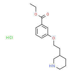 ChemSpider 2D Image | ethyl 3-(2-(piperidin-3-yl)ethoxy)benzoate hydrochloride | C16H24ClNO3