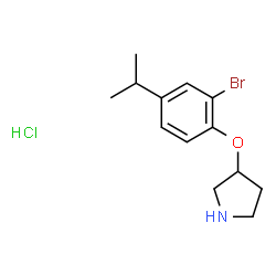 ChemSpider 2D Image | 3-(2-Bromo-4-isopropylphenoxy)pyrrolidine hydrochloride | C13H19BrClNO