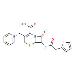 ChemSpider 2D Image | 1-({2-Carboxy-8-oxo-7-[(2-thienylacetyl)amino]-5-thia-1-azabicyclo[4.2.0]oct-2-en-3-yl}methyl)pyridinium | C19H18N3O4S2