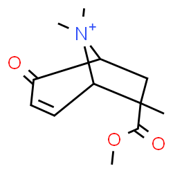 ChemSpider 2D Image | 7-(Methoxycarbonyl)-7,8,8-trimethyl-4-oxo-8-azoniabicyclo[3.2.1]oct-2-ene | C12H18NO3