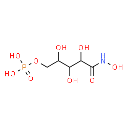 ChemSpider 2D Image | 2,3,4-Trihydroxy-5-(hydroxyamino)-5-oxopentyl dihydrogen phosphate | C5H12NO9P