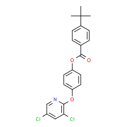 ChemSpider 2D Image | 4-[(3,5-Dichloro-2-pyridinyl)oxy]phenyl 4-(2-methyl-2-propanyl)benzoate | C22H19Cl2NO3