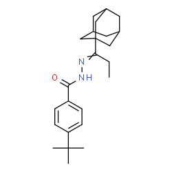 ChemSpider 2D Image | N'-[1-(Adamantan-1-yl)propylidene]-4-(2-methyl-2-propanyl)benzohydrazide | C24H34N2O