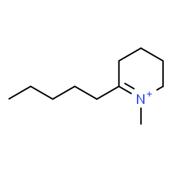 ChemSpider 2D Image | 1-Methyl-6-pentyl-2,3,4,5-tetrahydropyridinium | C11H22N