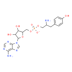 ChemSpider 2D Image | 9-(5-O-{[2-Amino-3-(4-hydroxyphenyl)propoxy]phosphinato}pentofuranosyl)-9H-purin-6-amine | C19H24N6O8P