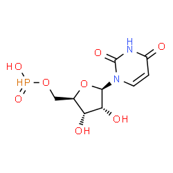 ChemSpider 2D Image | 5'-O-[Hydroxy(oxido)phosphoranyl]uridine | C9H13N2O8P