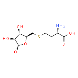 ChemSpider 2D Image | 5-(3-AMINO-4,4-DIHYROXY-BUTYLSULFANYLMETHYL)-TETRAHYDRO-FURAN-2,3,4-TRIOL | C9H17NO6S