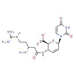 ChemSpider 2D Image | 1-{4-[(3-Ammonio-5-{[ammonio(imino)methyl](methyl)amino}pentanoyl)amino]-2,3,4-trideoxy-beta-D-erythro-hex-2-enopyranosyluronosyl}-2,4(1H,3H)-pyrimidinedione | C17H26N7O6