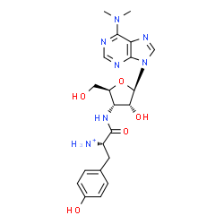 ChemSpider 2D Image | 3'-{[(2S)-2-Ammonio-3-(4-hydroxyphenyl)propanoyl]amino}-3'-deoxy-N,N-dimethyladenosine | C21H28N7O5
