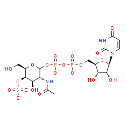 ChemSpider 2D Image | [(3R,4R,5R,6R)-3-acetamido-4-hydroxy-6-(hydroxymethyl)-5-sulfonatooxy-tetrahydropyran-2-yl] [[(2R,3S,4R,5R)-5-(2,4-dioxopyrimidin-1-yl)-3,4-dihydroxy-tetrahydrofuran-2-yl]methoxy-oxido-phosphoryl] phosphate | C17H24N3O20P2S