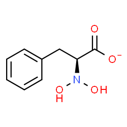 ChemSpider 2D Image | (2S)-2-(Dihydroxyamino)-3-phenylpropanoate | C9H10NO4