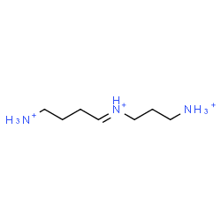 ChemSpider 2D Image | (E)-(4-Ammoniobutylidene)(3-ammoniopropyl)ammonium | C7H20N3