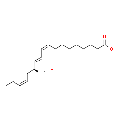 ChemSpider 2D Image | (9Z,11E,13S,15Z)-13-Hydroperoxy-9,11,15-octadecatrienoate | C18H29O4