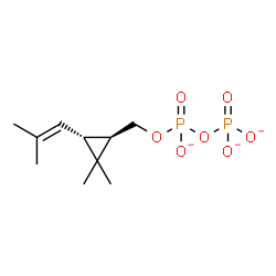 ChemSpider 2D Image | Diphosphoric acid, mono[[(1R,3R)-2,2-dimethyl-3-(2-methyl-1-propen-1-yl)cyclopropyl]methyl] ester, ion(3-) | C10H17O7P2