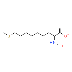 ChemSpider 2D Image | 2-(Hydroxyamino)-9-(methylsulfanyl)nonanoate | C10H20NO3S