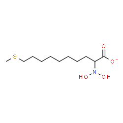ChemSpider 2D Image | 2-(Dihydroxyamino)-10-(methylsulfanyl)decanoate | C11H22NO4S